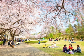 Top 9 khu vui chơi đắt khách nhất Hàn Quốc